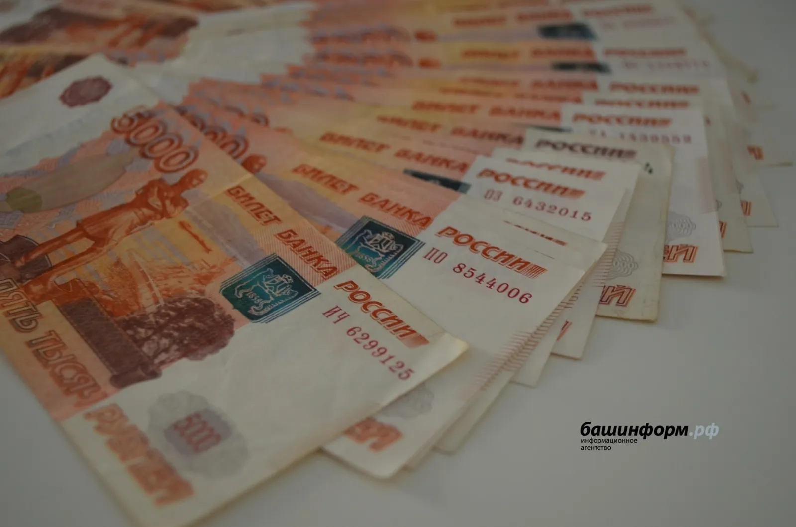 В Башкирии женщина успешно вернула украденные средства