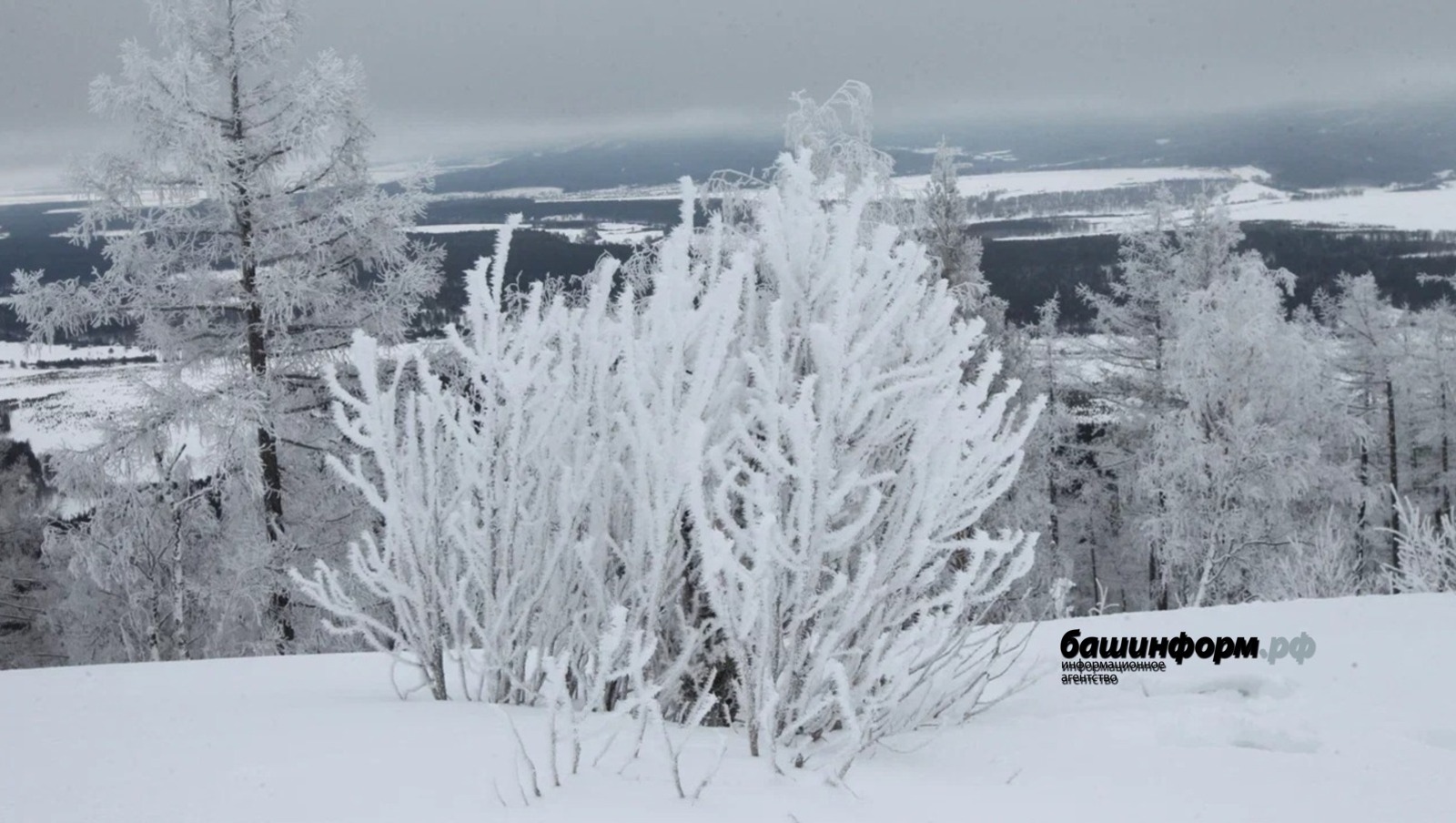 В Башгидромете рассказали, какой будет погода в начале февраля