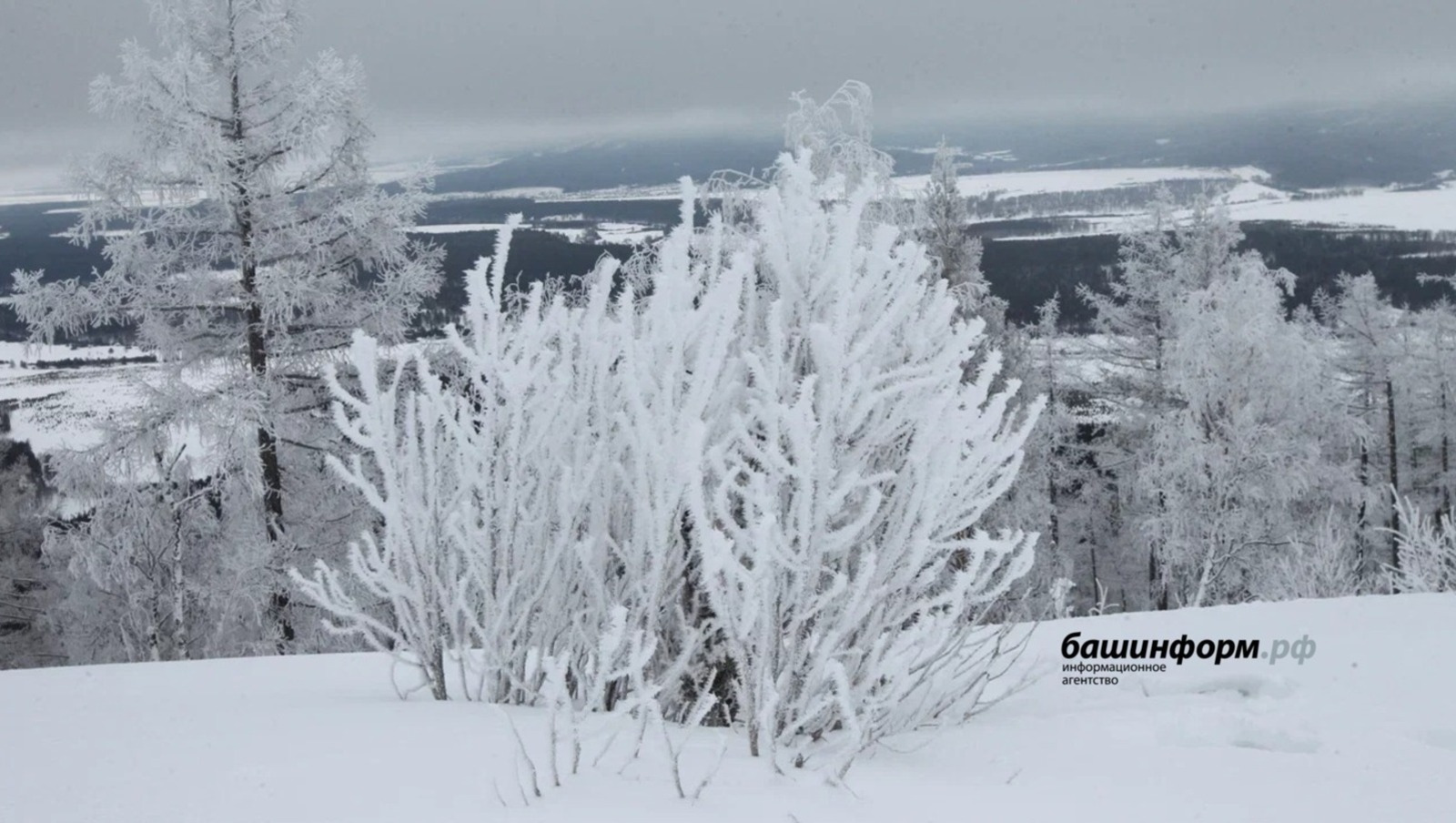 Синоптики рассказали, какой будет погода в Башкирии в середине зимы