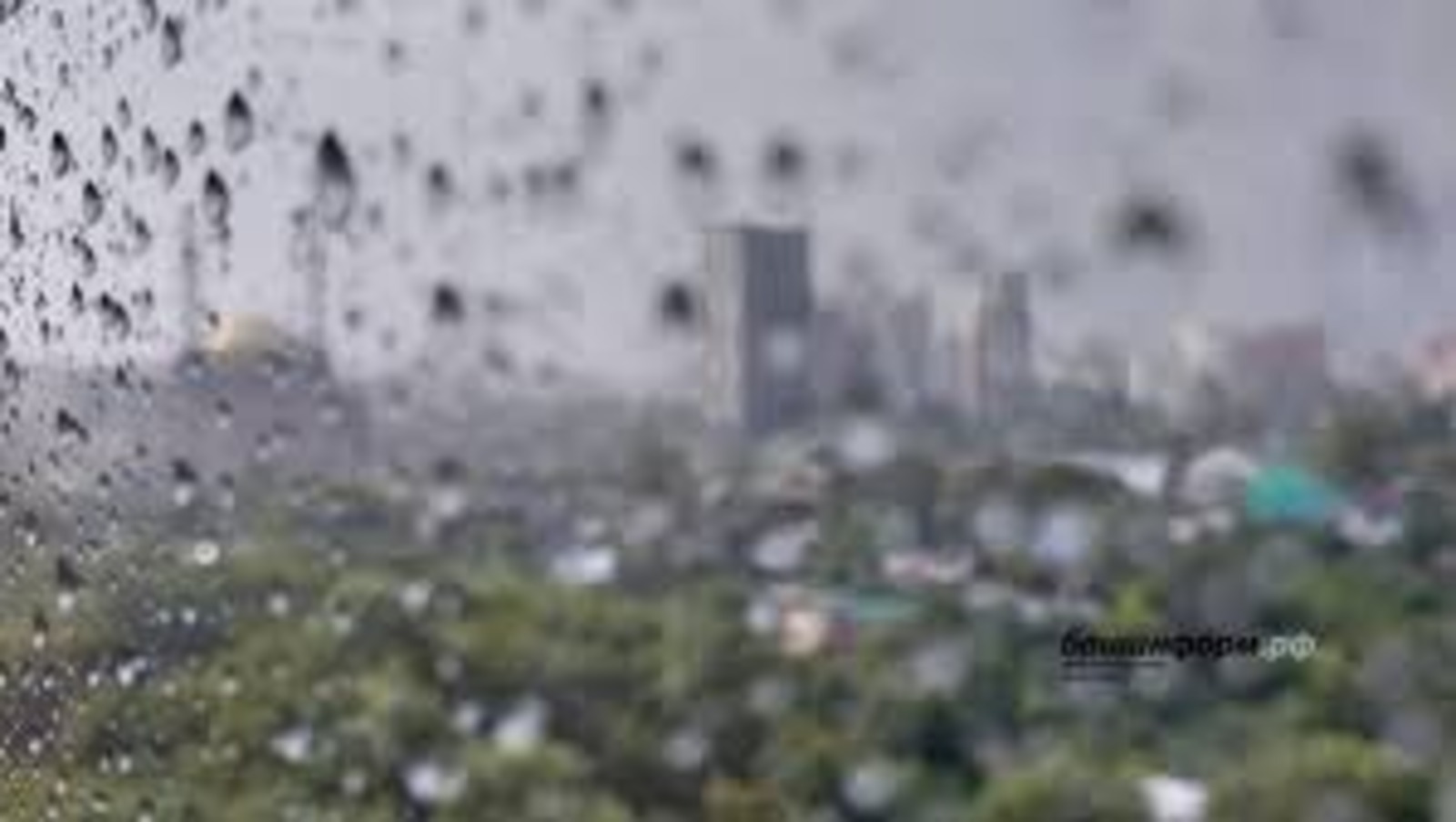 МЧС Башкирии сообщает о грозе, тумане и дождях