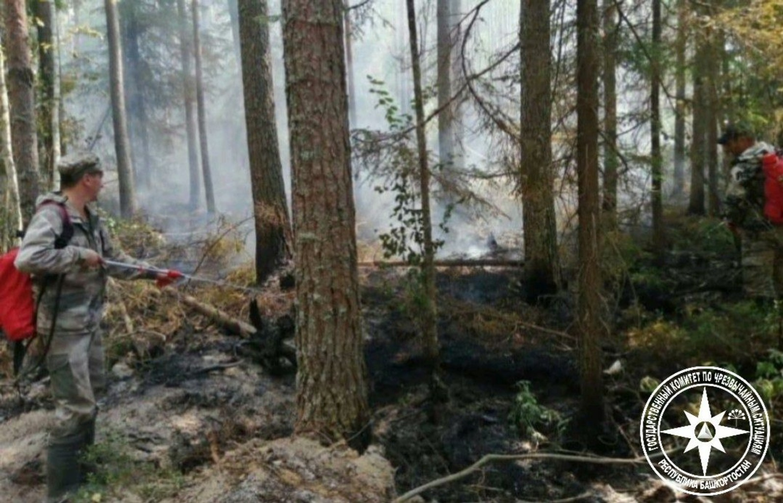 В Башкирии за сутки вспыхнули два лесных пожара