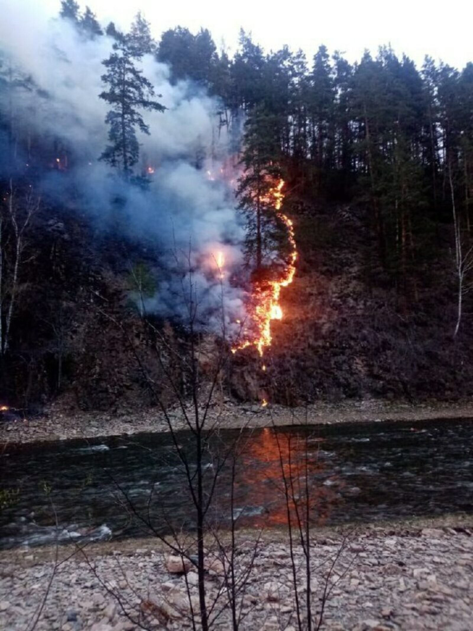 В Башкирию поступила спецтехника для борьбы с лесными пожарами