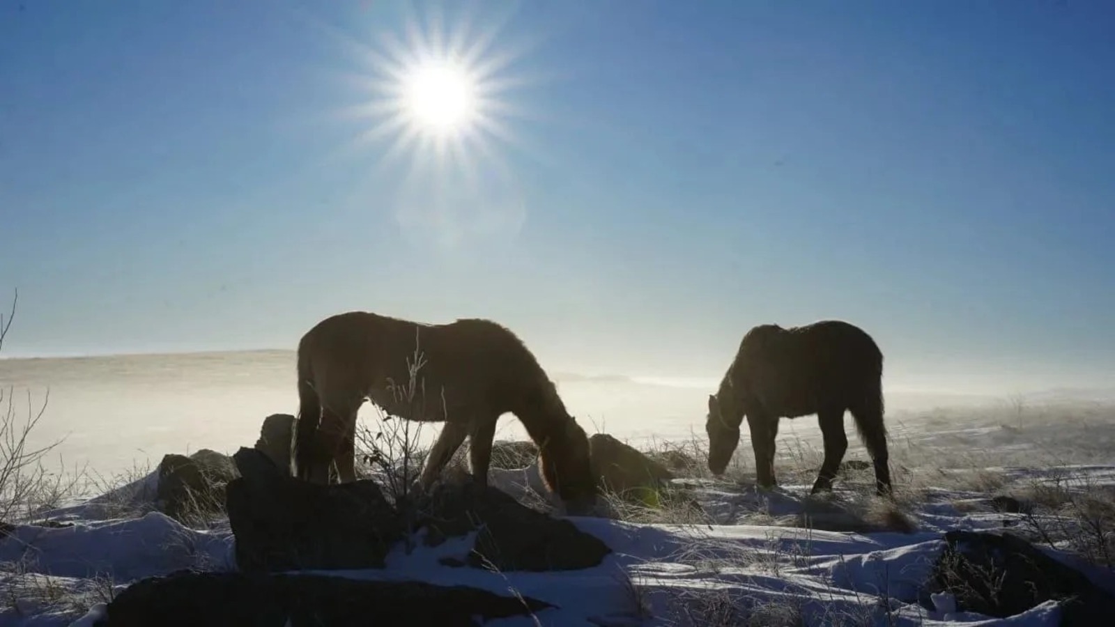 Радий Хабиров показал, от чего не может сдержать улыбку