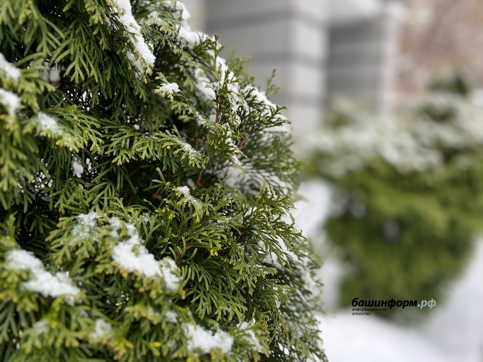 Мороз пришел в Башкирию: снег не обещают