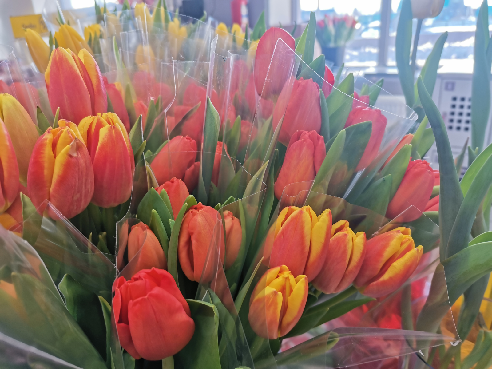 В марте жителей Башкирии ждут две короткие рабочие недели