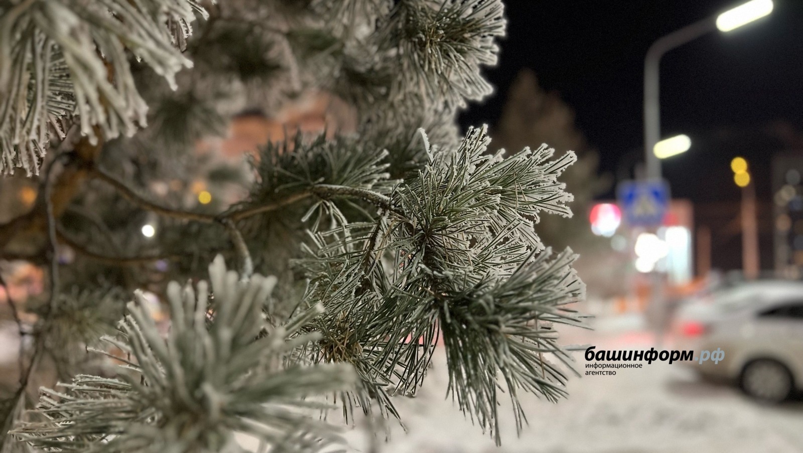 Новый год будет тёплым, а январь — ледяным