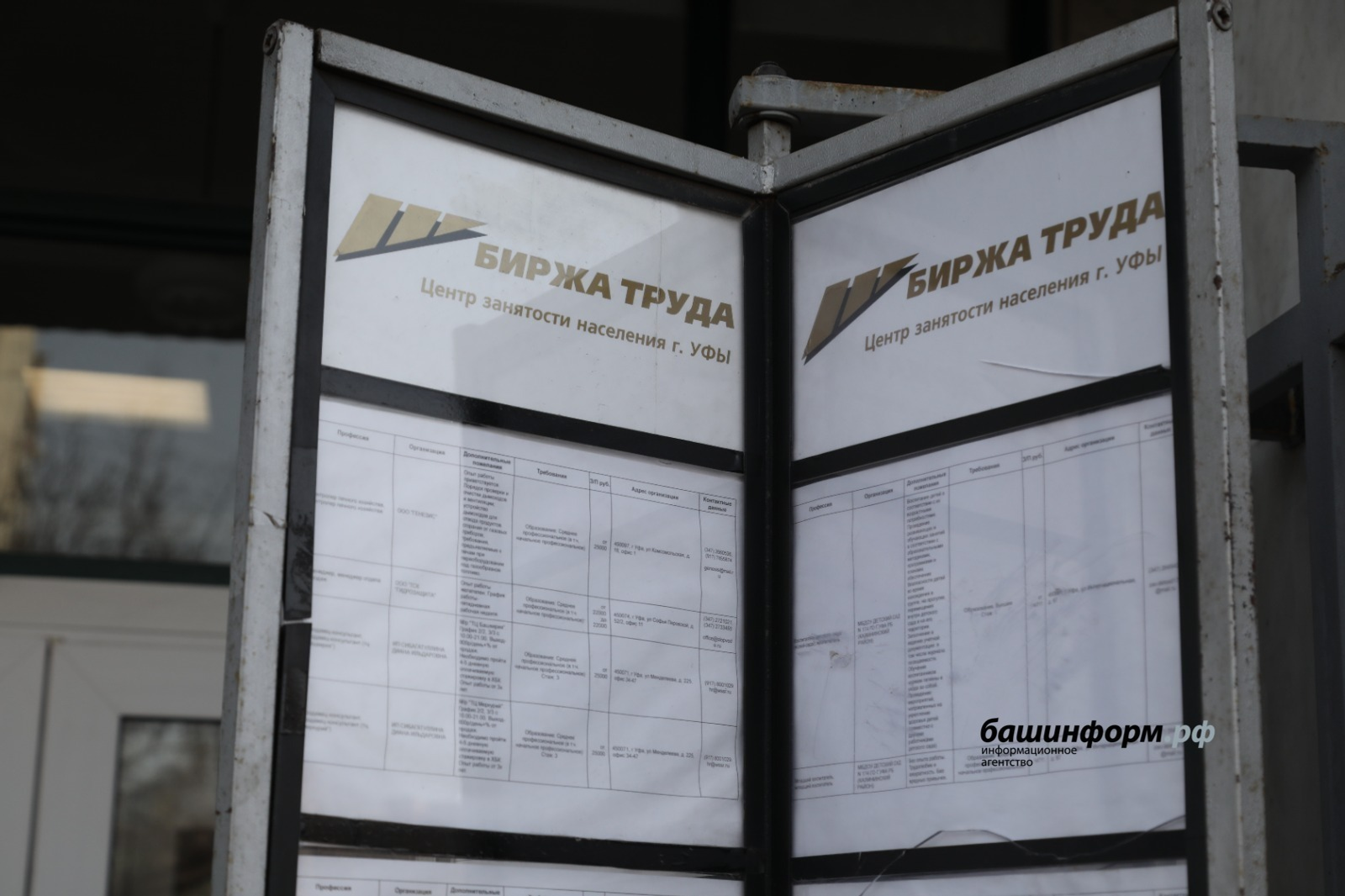 Топ-5 самых высокооплачиваемых вакансий июля в Уфе: лидирует главный бухгалтер