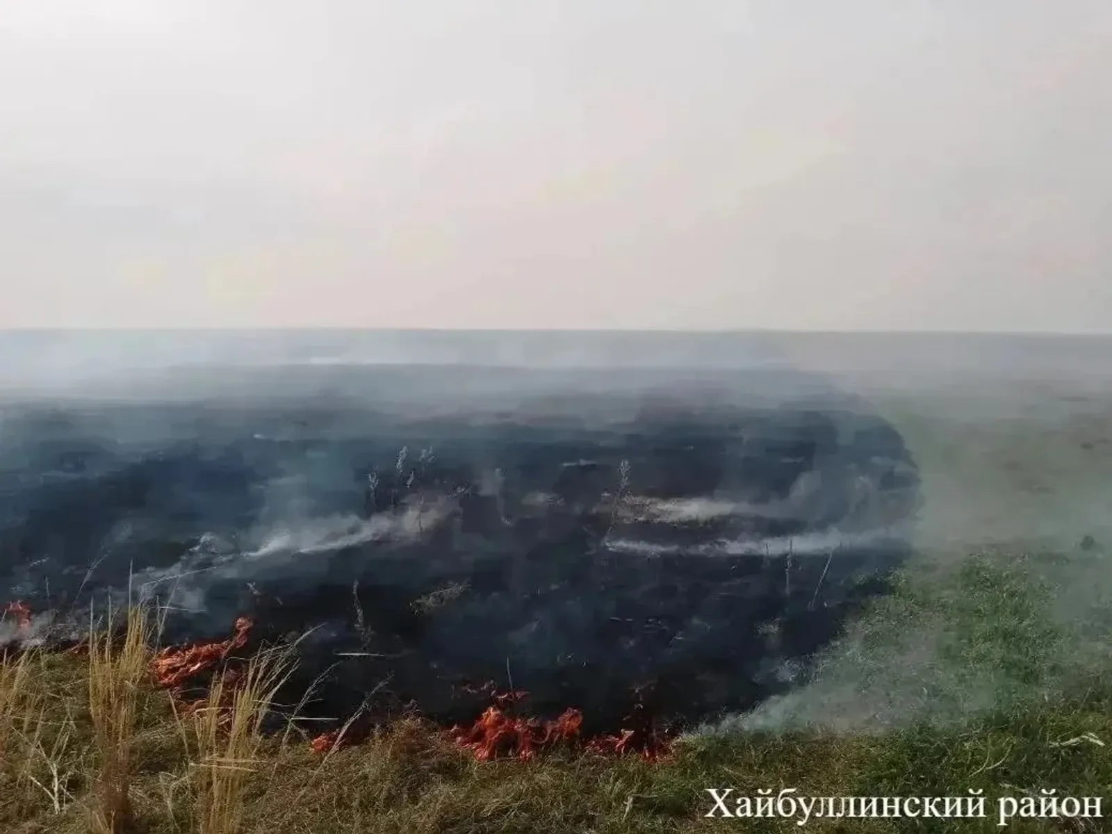 Ликвидация лесного пожара в Баймакском районе Башкирии завершена