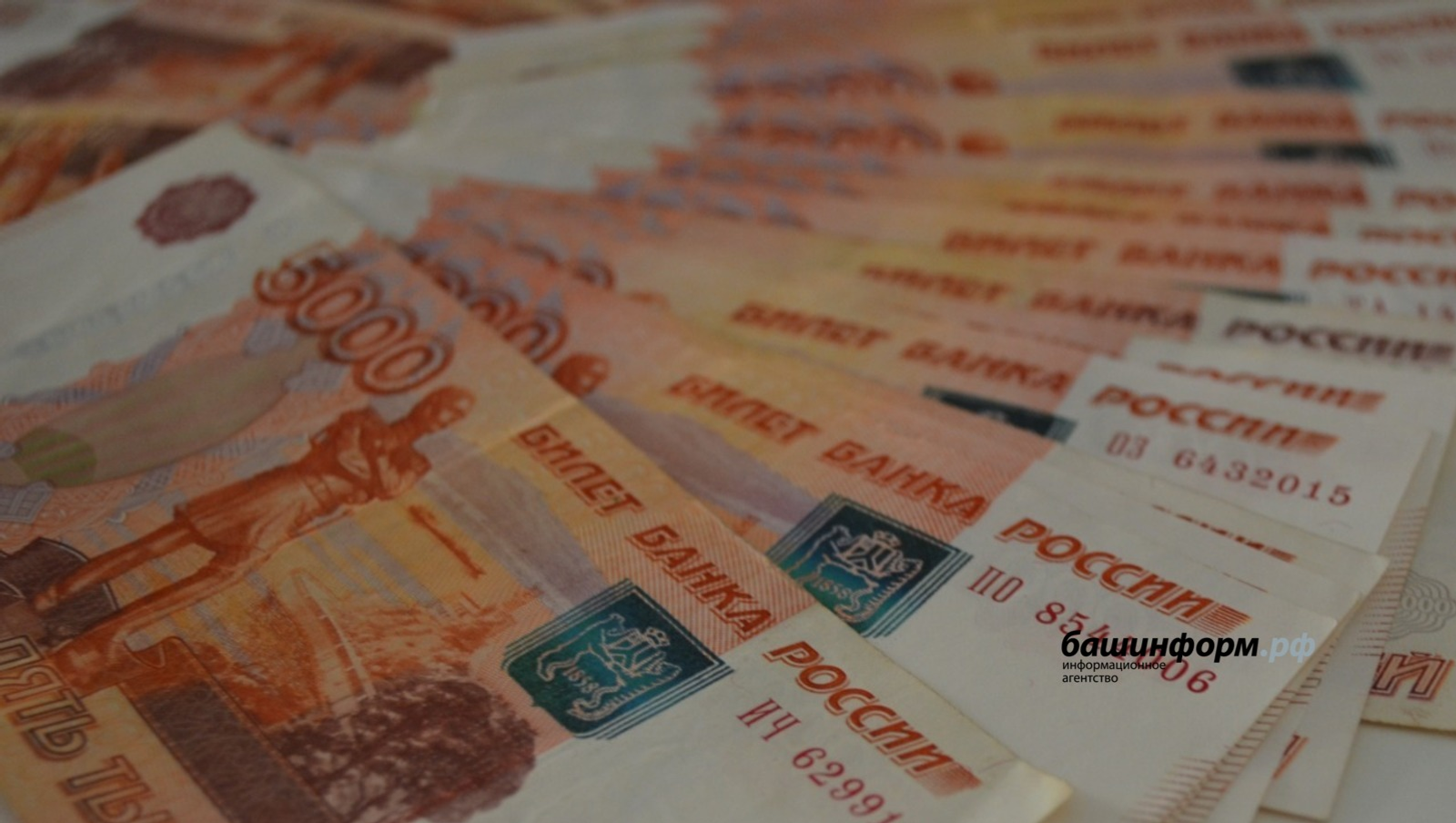 В Уфе будут судить организатора финансовой пирамиды