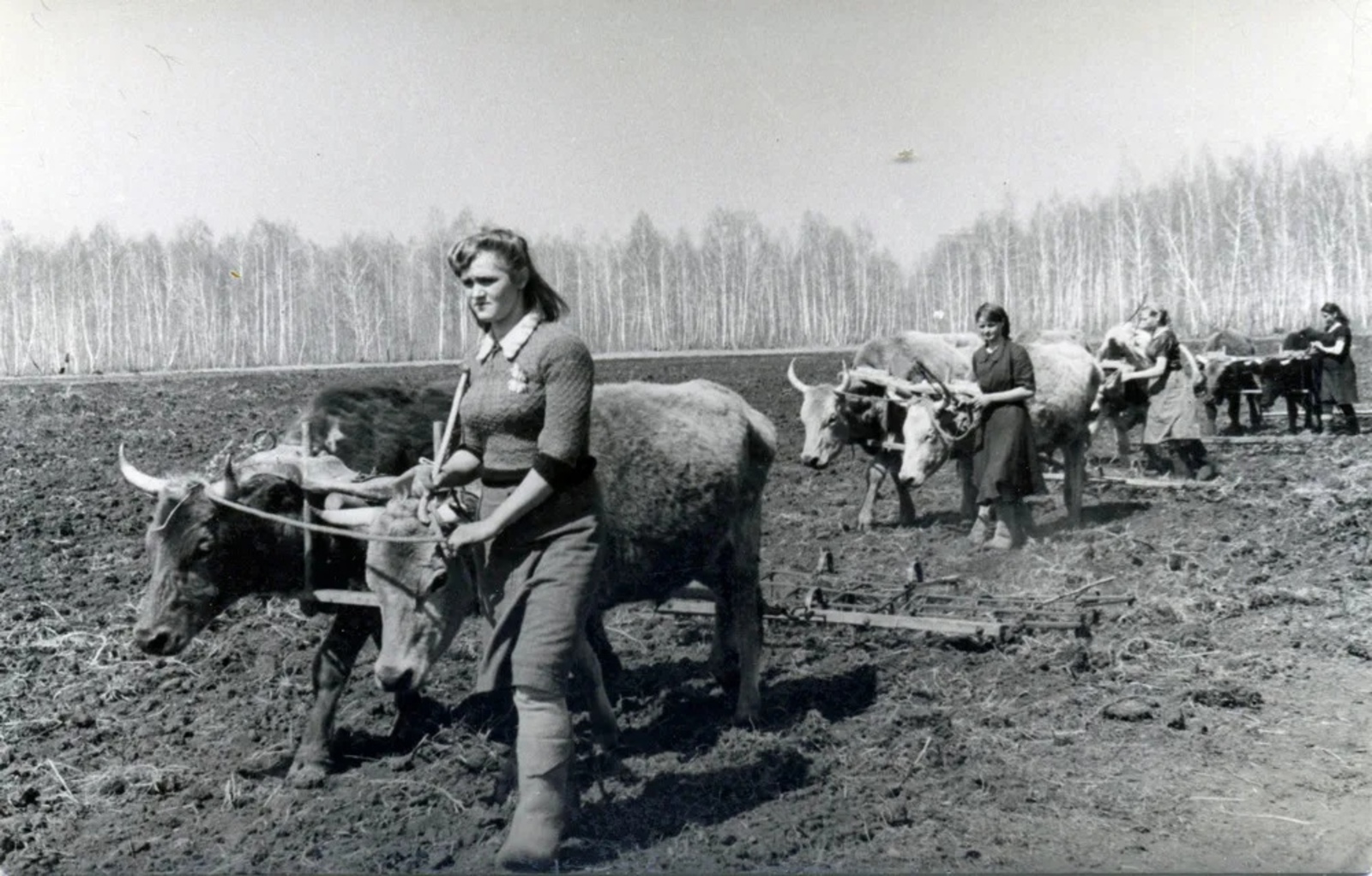 Военное лихолетье