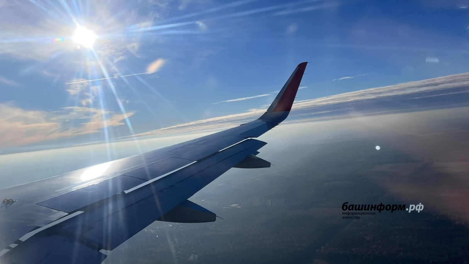 Самолет “Победы” Москва (Внуково) - Уфа столкнулся с птицей