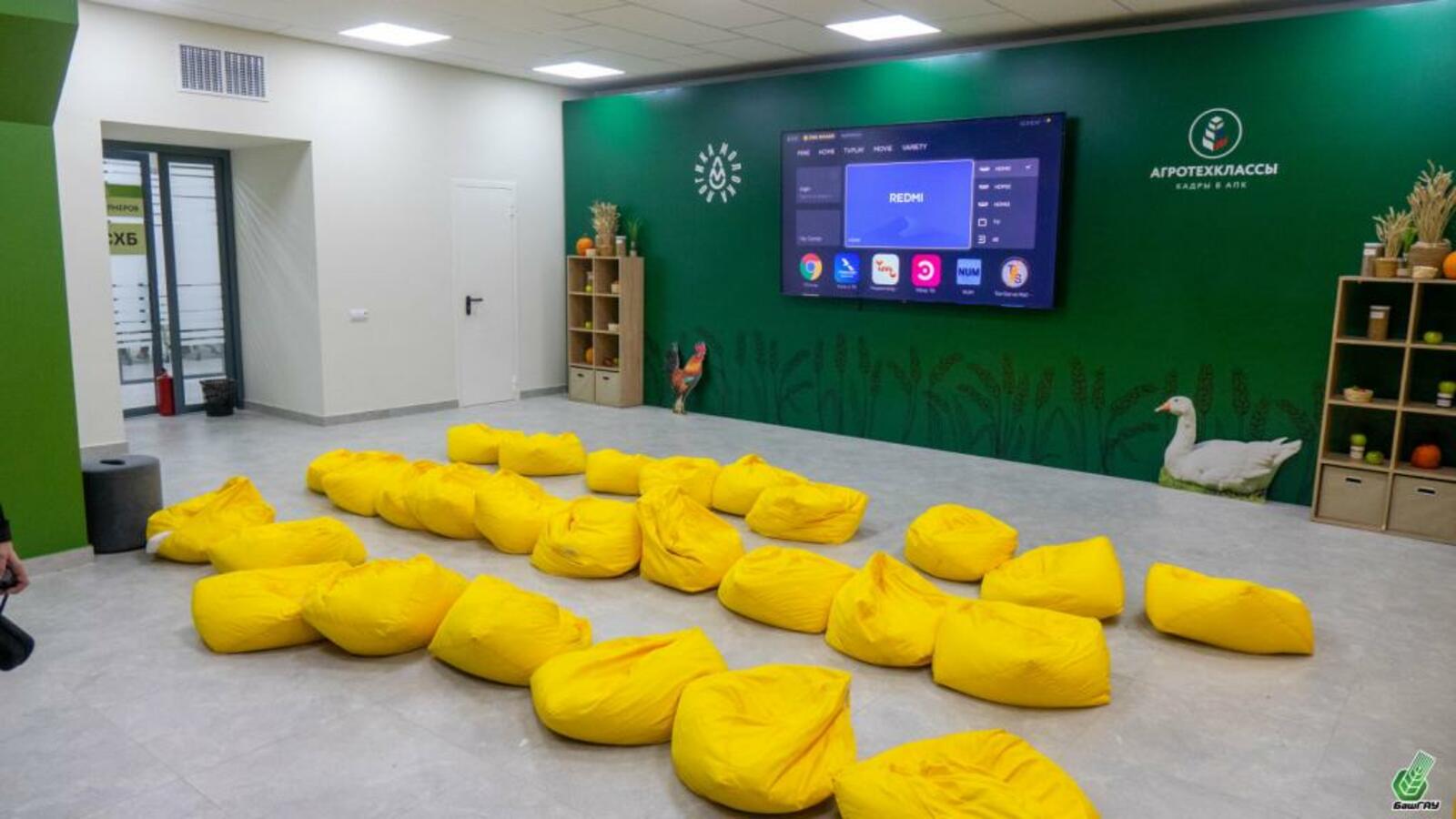 Башкирия получит ₽480 млн на ремонт аграрного университета и оборудование