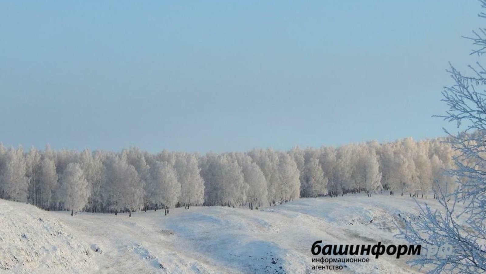Солнце готовит удар: 17 января Землю накроет сильная магнитная буря