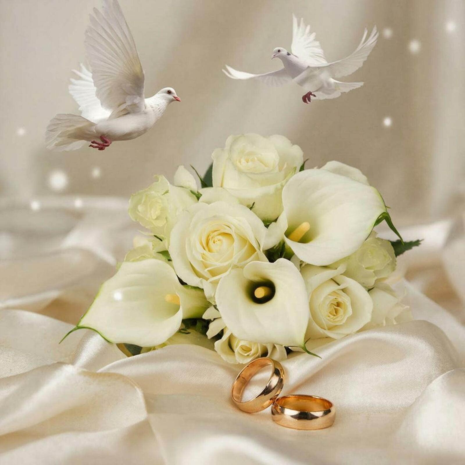 В Башкирии подрос средний возраст молодожёнов