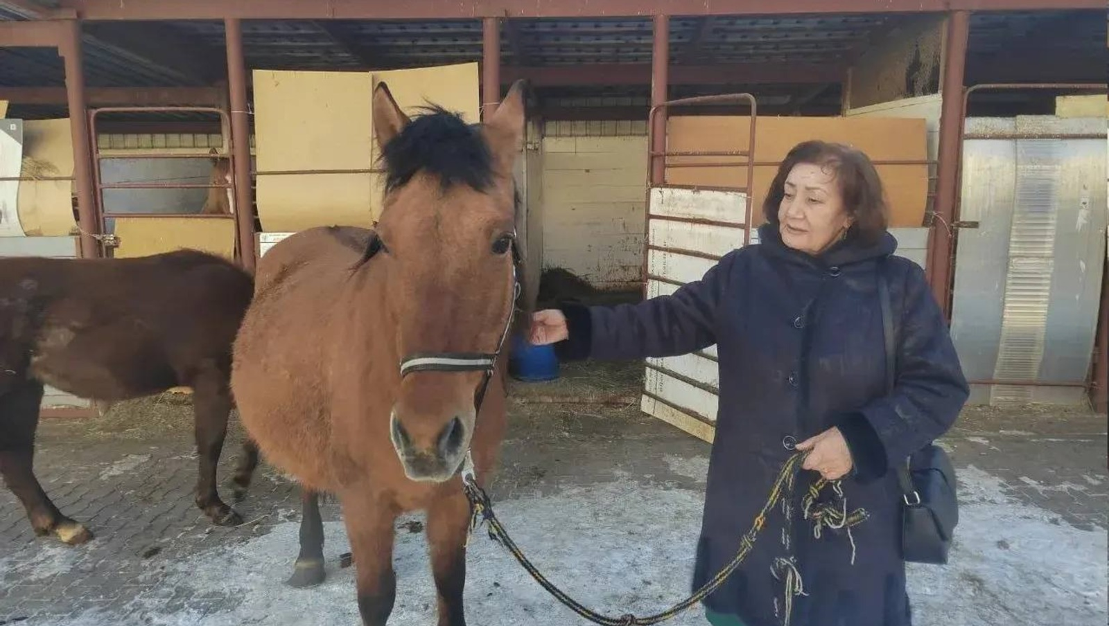 Ираида Ахатова — учёный, сохранявший и развивавший башкирскую породу лошадей
