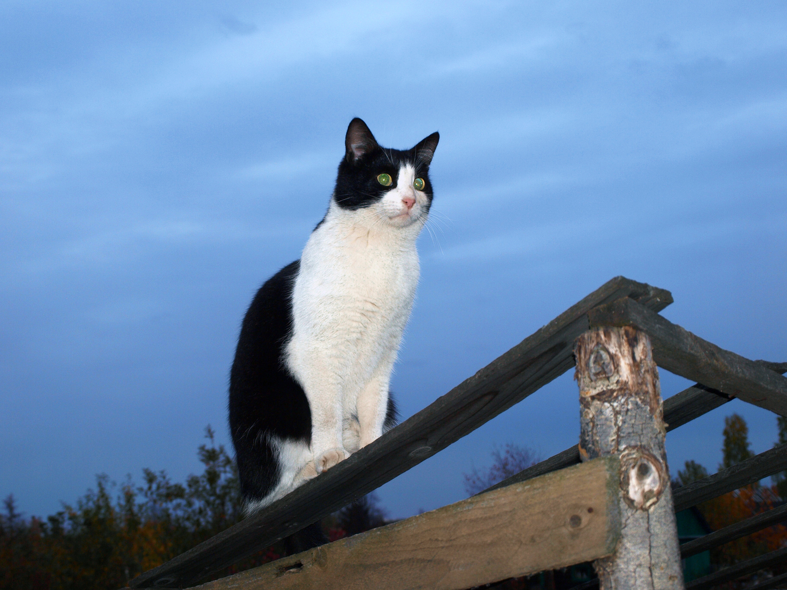 Аномальное тепло в Башкирии: до +21 и риск подтоплений