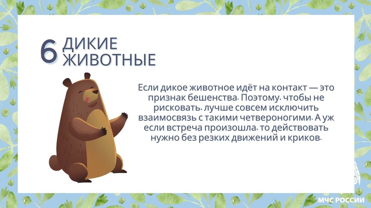 Весенние риски: как обезопасить себя и близких