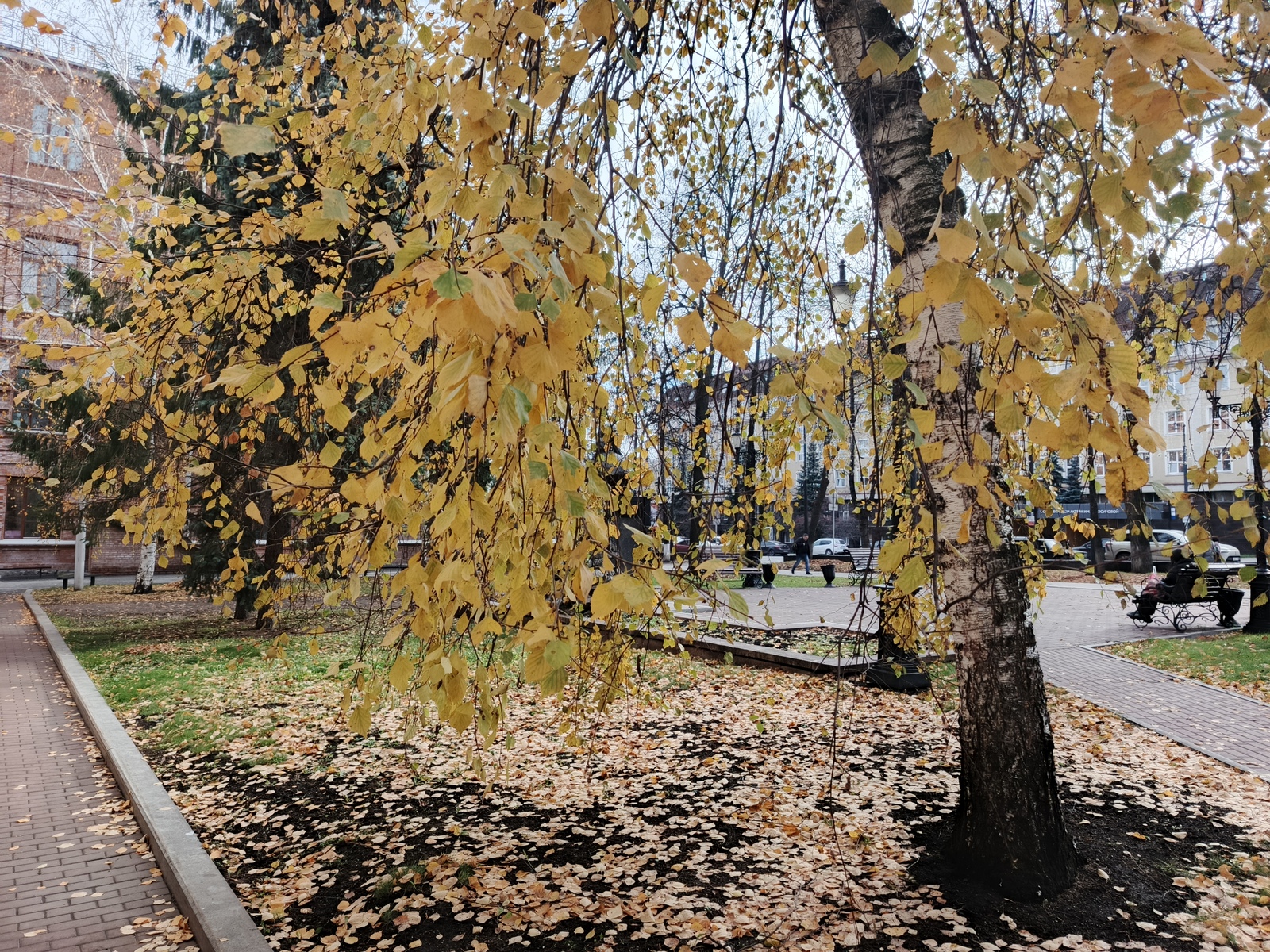 В Башкирии депутаты растительные отходы хотят приравнять к ТКО