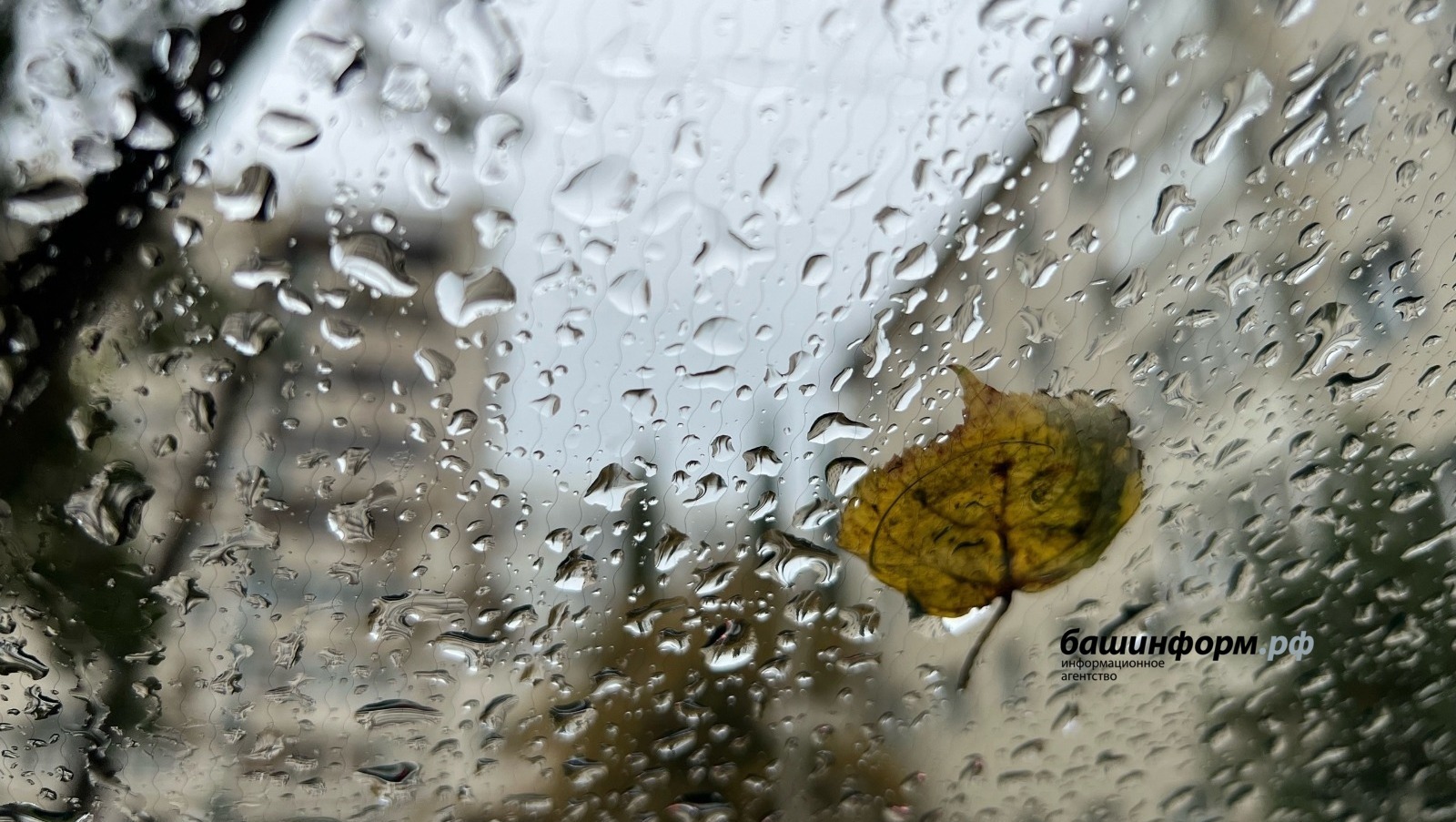 Выходные в Башкирии: регион накроют осадки и ночной гололёд