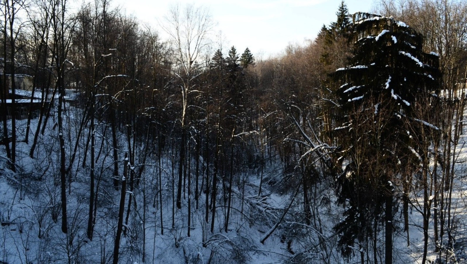 Погода в Башкирии готовит сюрприз в январе