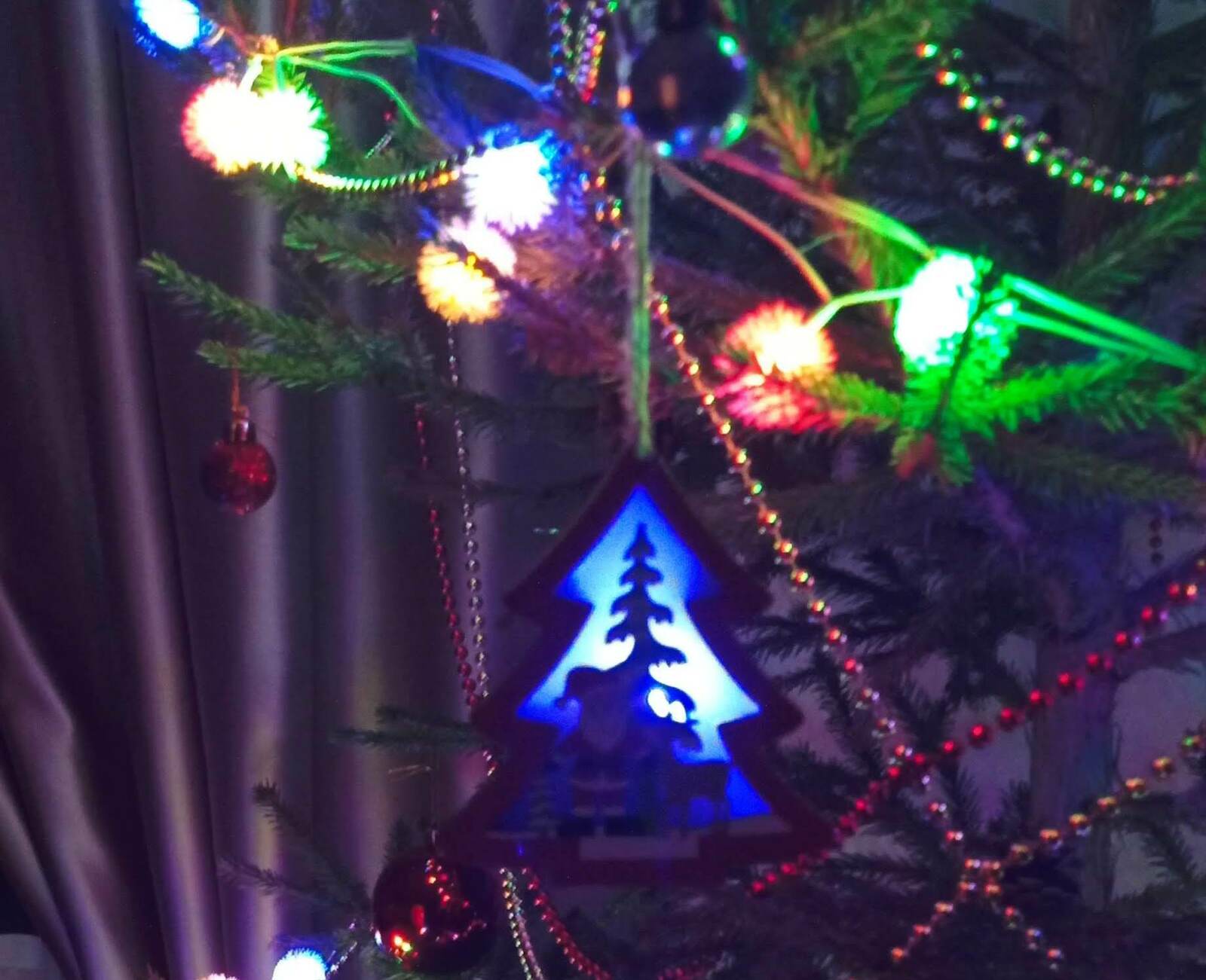 Главная новогодняя ель в России: награда нашедшему