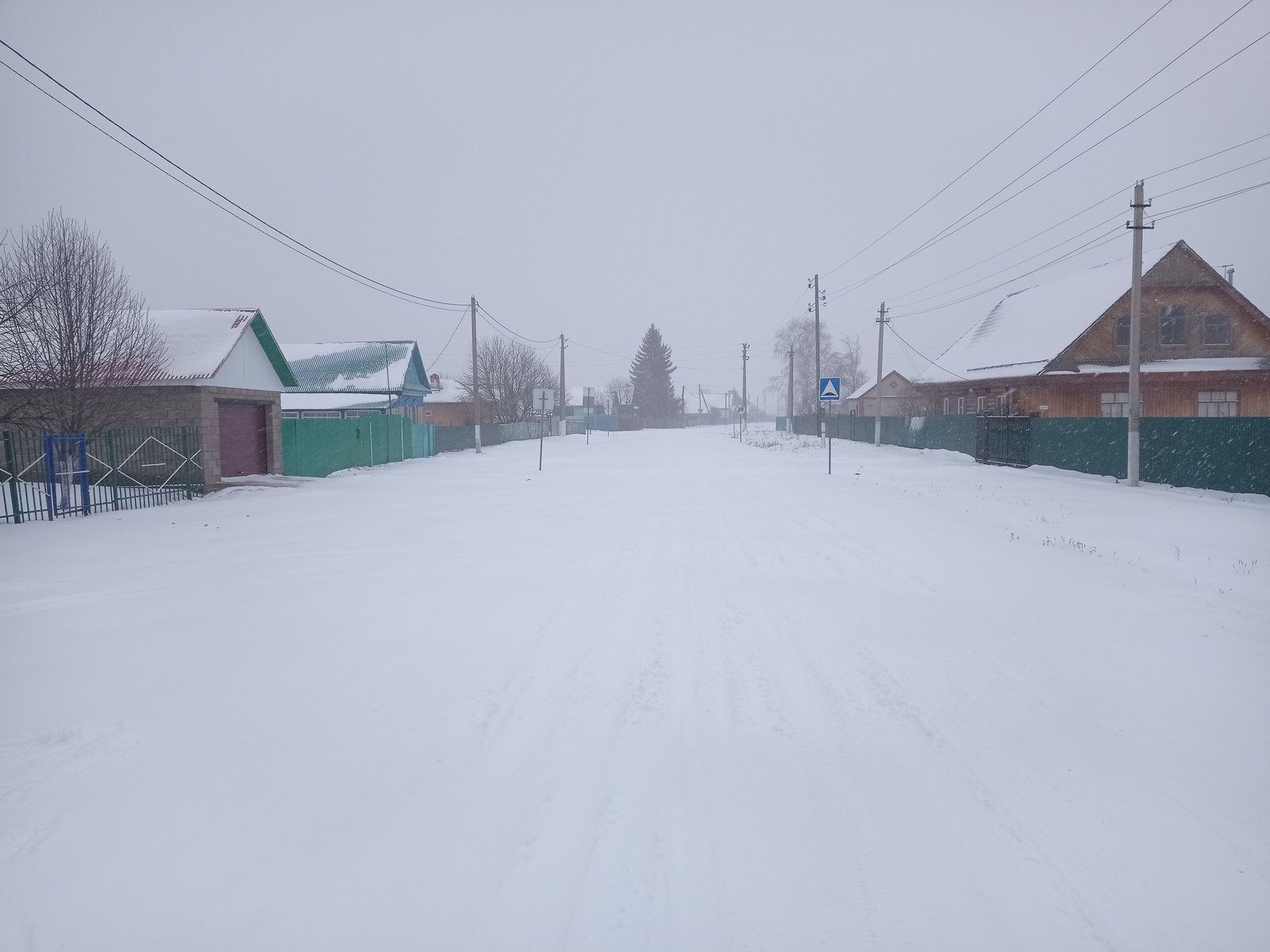 Тревога в Башкирии: стая волков атаковала двор в сельской местности