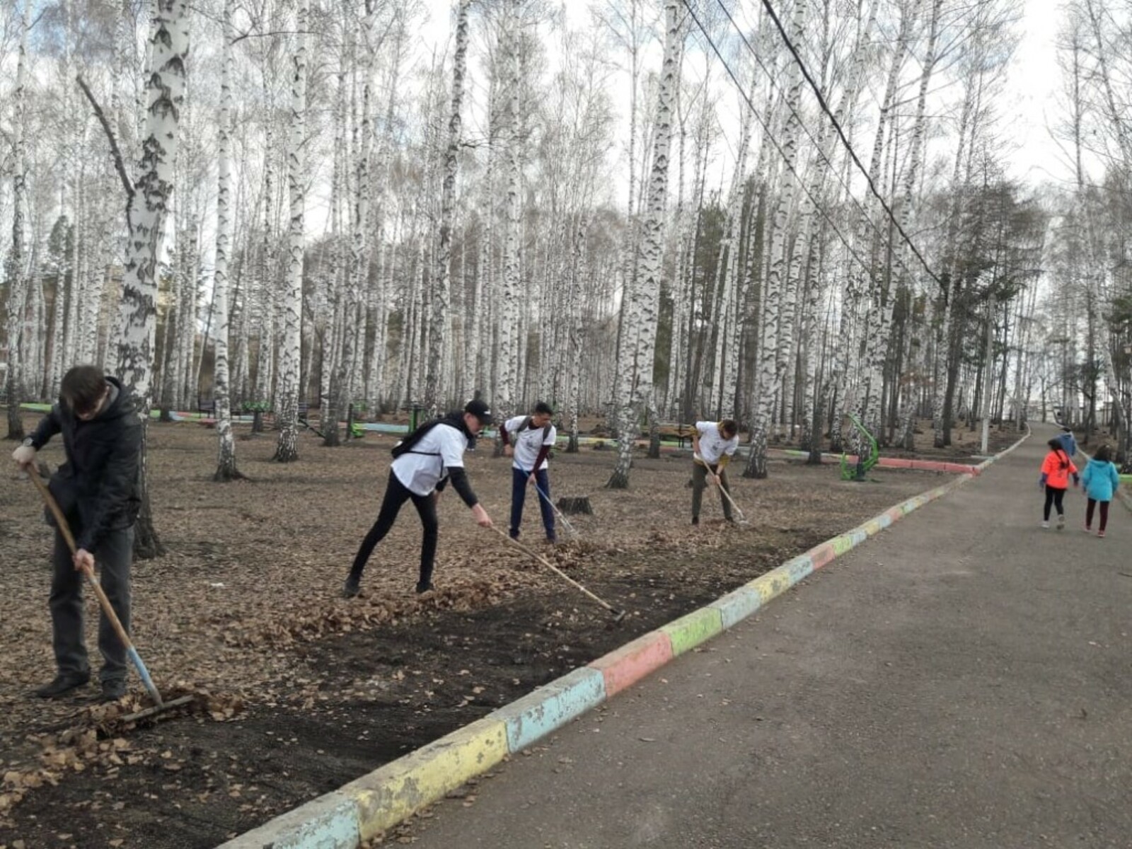 Первокурсники КФ ОГУ дружно взялись за очистку парка.