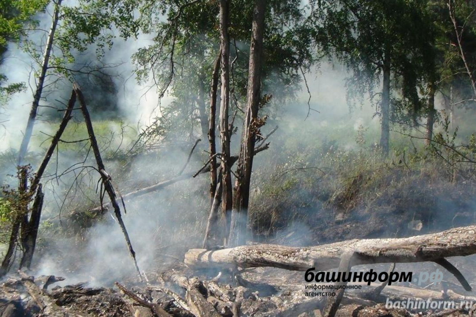В Башкирии потушен самый сложный лесной пожар, зарегистрирован один новый