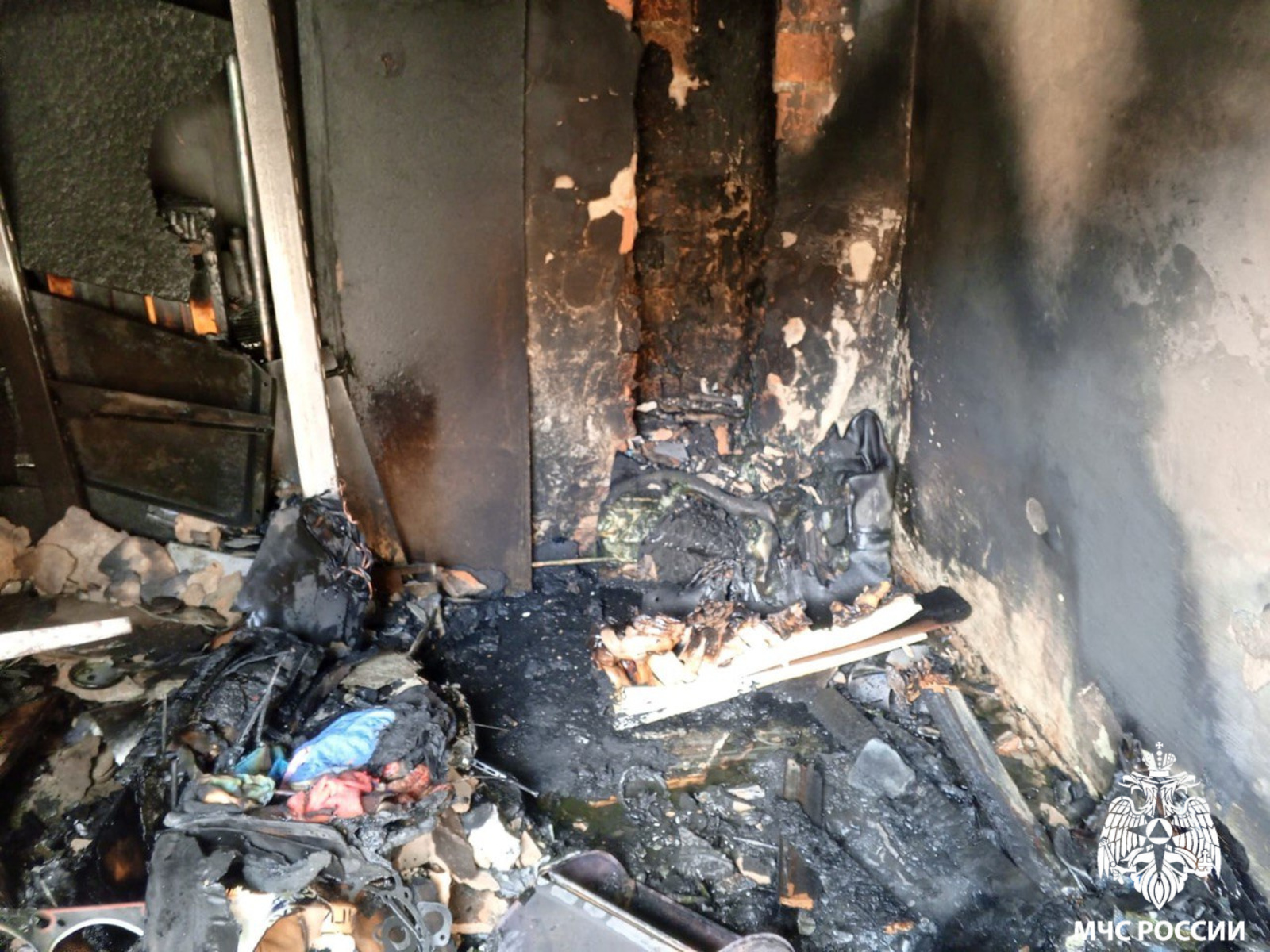 На суше и в воде