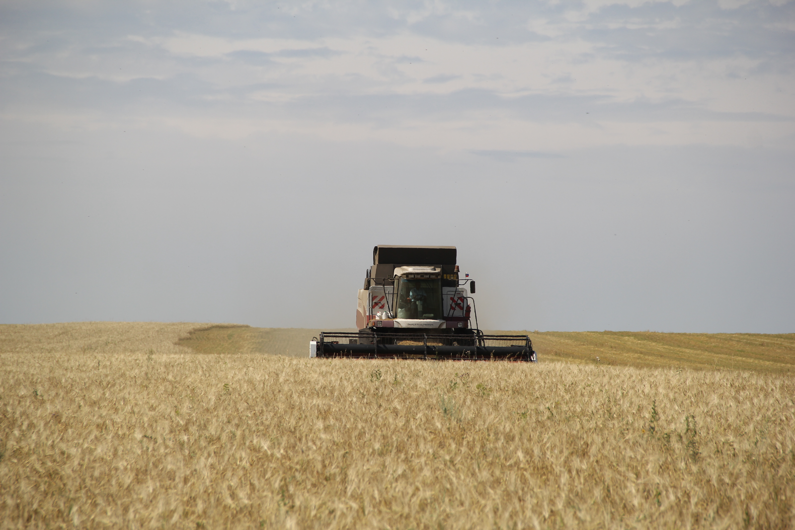 Минсельхоз заявил о рекордной урожайности зерновых в Башкирии