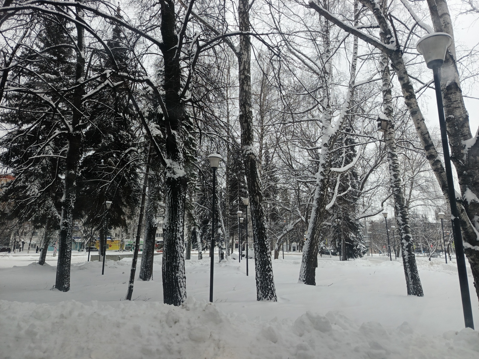 В Башкирии температура опустилась до −41°