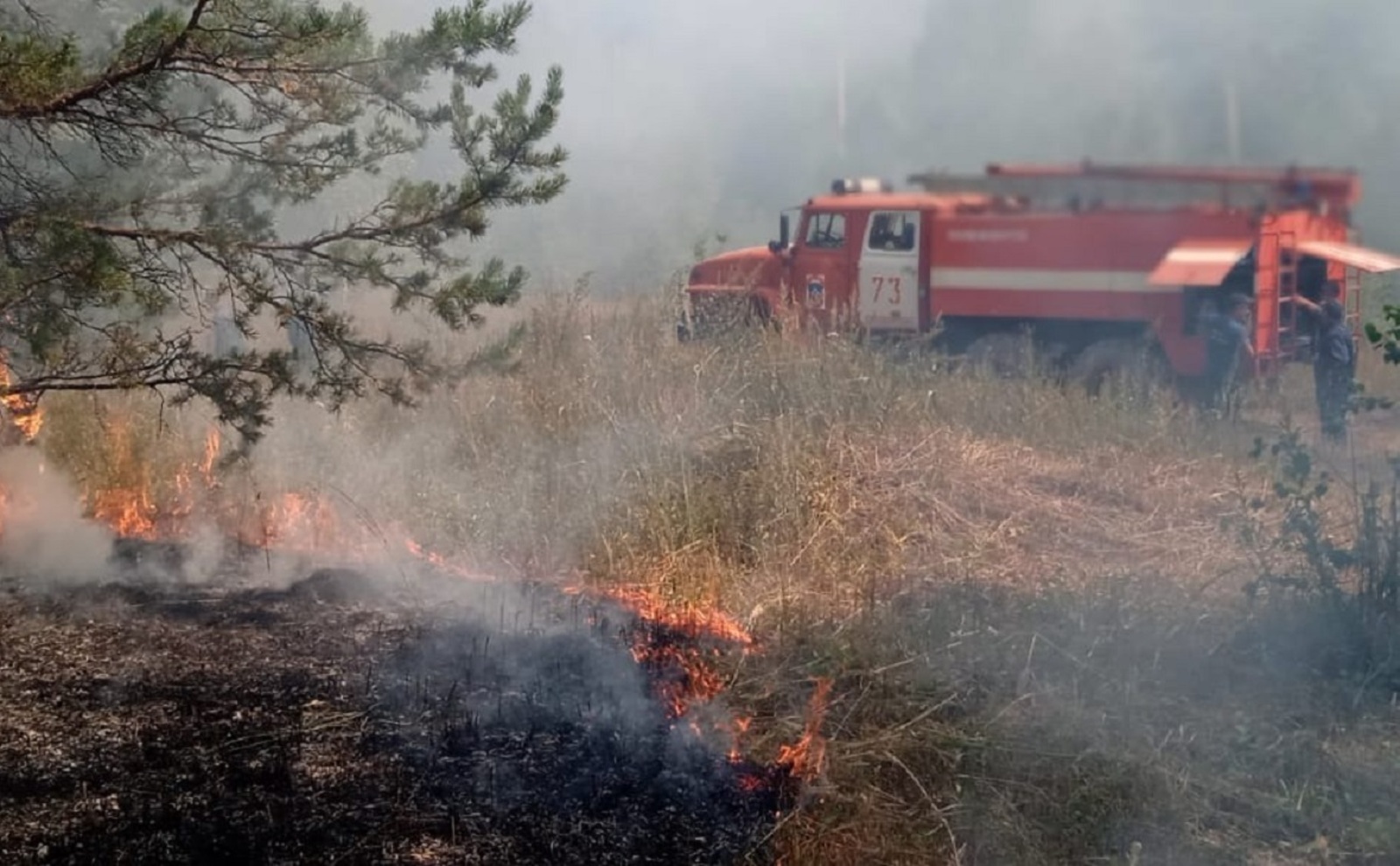 В Башкирии зарегистрировано 5 природных пожаров на общей площади 3 га
