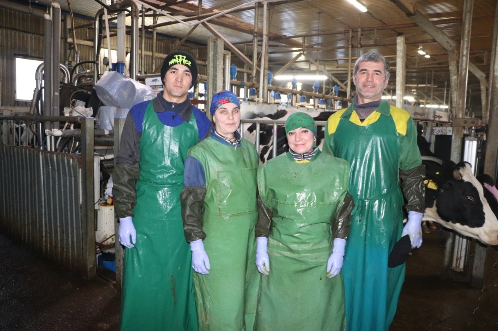 Десятую часть объёма товарного молока в Башкирии производят в Чекмагушевском районе