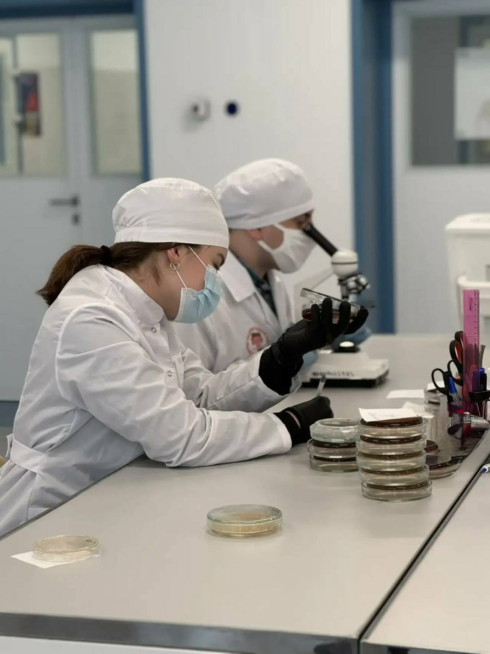 «Бактерия стройности» из Башкирии: учёные сделали уникальное открытие