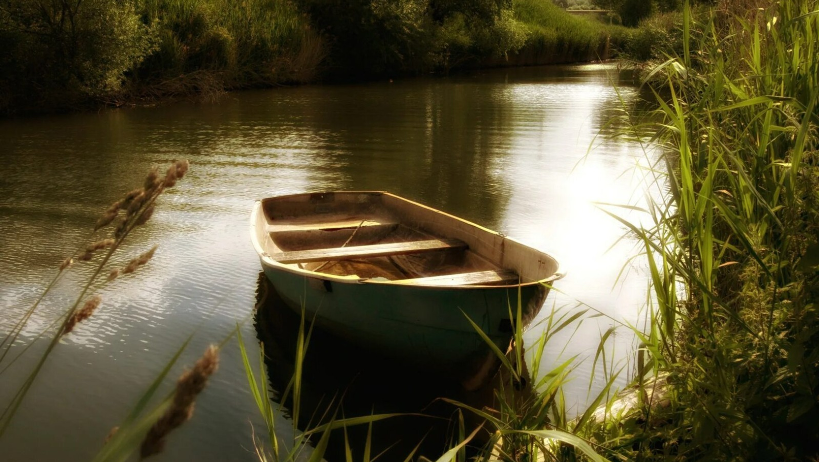 Инцидент с туристами на реке Белой в Башкирии