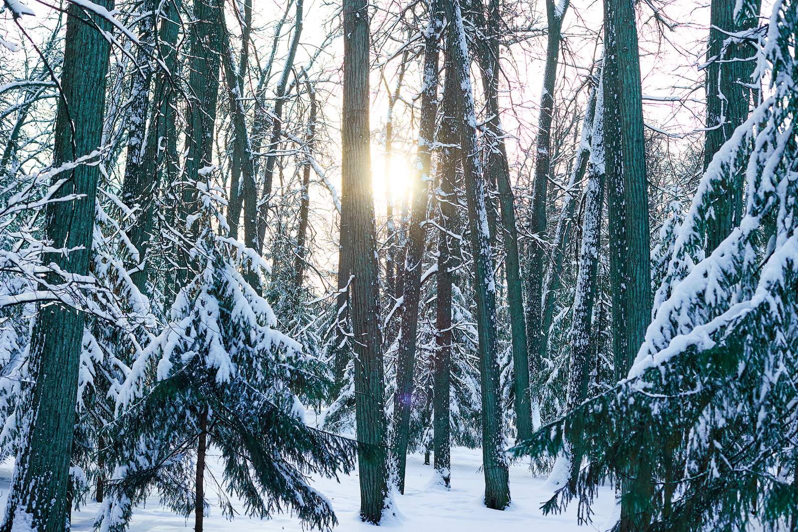 Почему мы хотим спать зимой и как с этим справиться