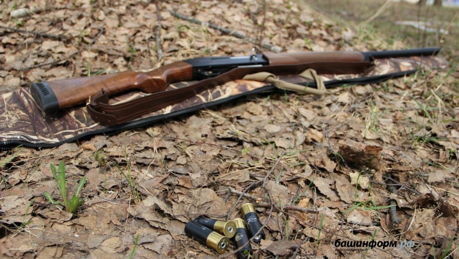 В Башкирии состоится жеребьевка на право охоты на лосей и медведей