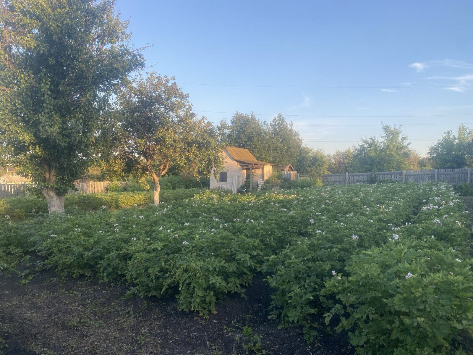 В Башкирии актуально зимой оплатить взносы СНТ