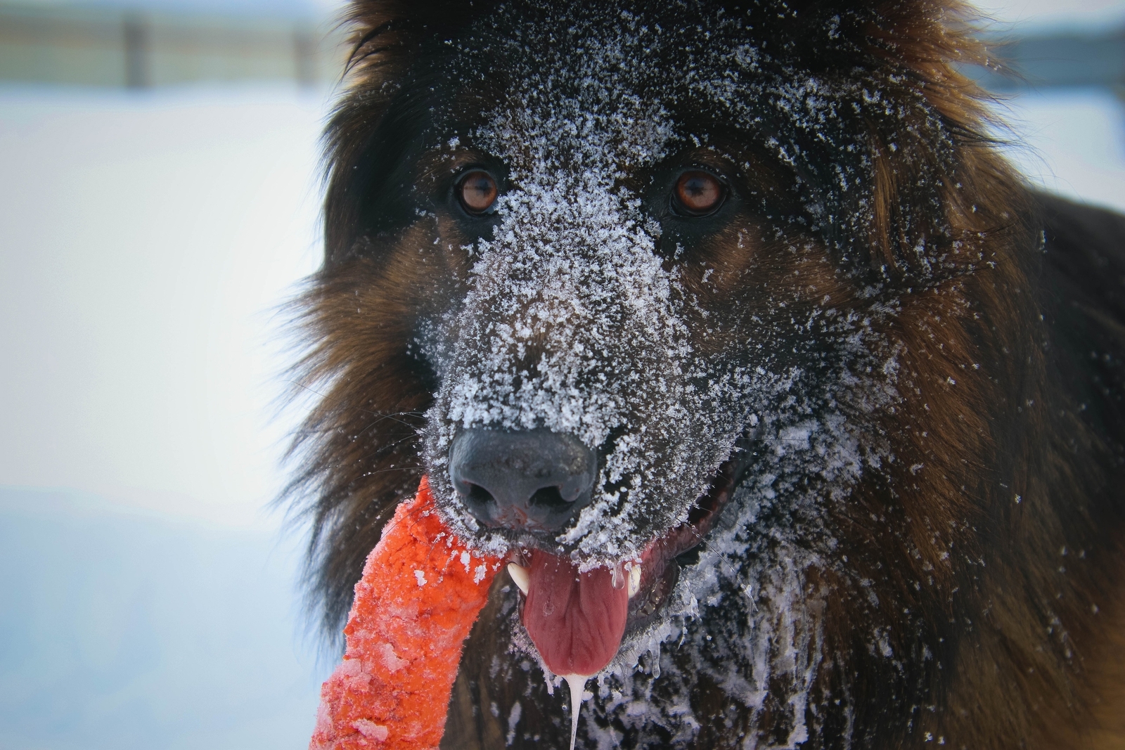 Дороги под угрозой: Башкирию накрывают снег и гололёд