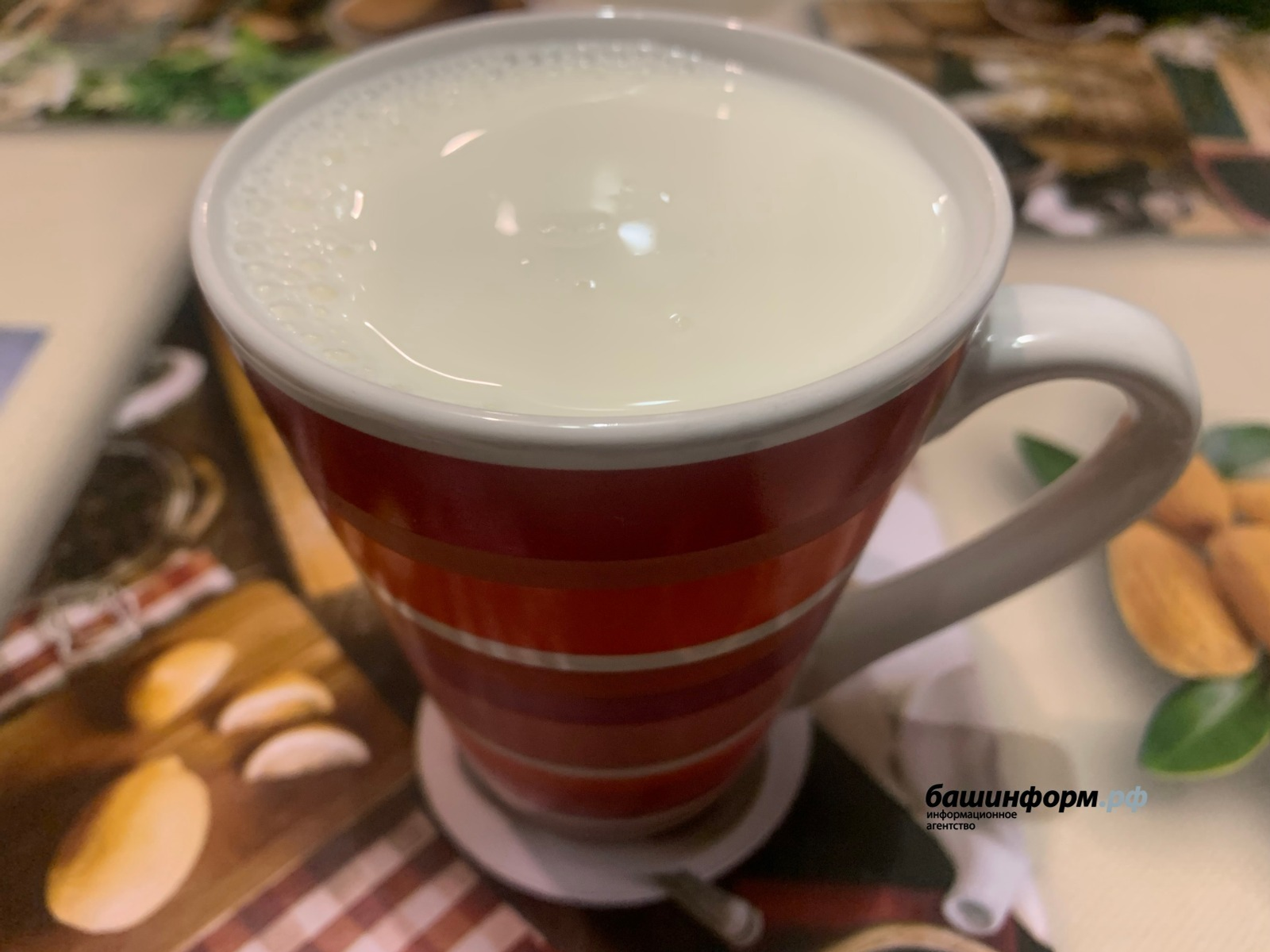 Стало известно, где в Башкирии можно купить самое дешевое молоко