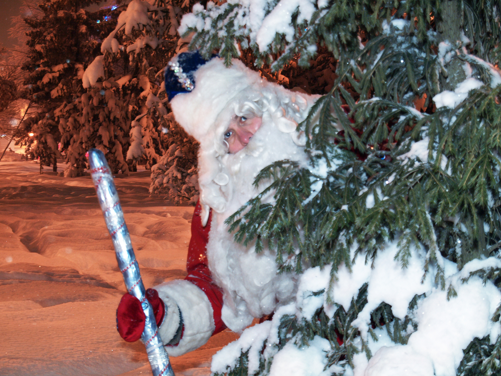 Башкирские новогодние ёлки отправили на экспорт в Казахстан