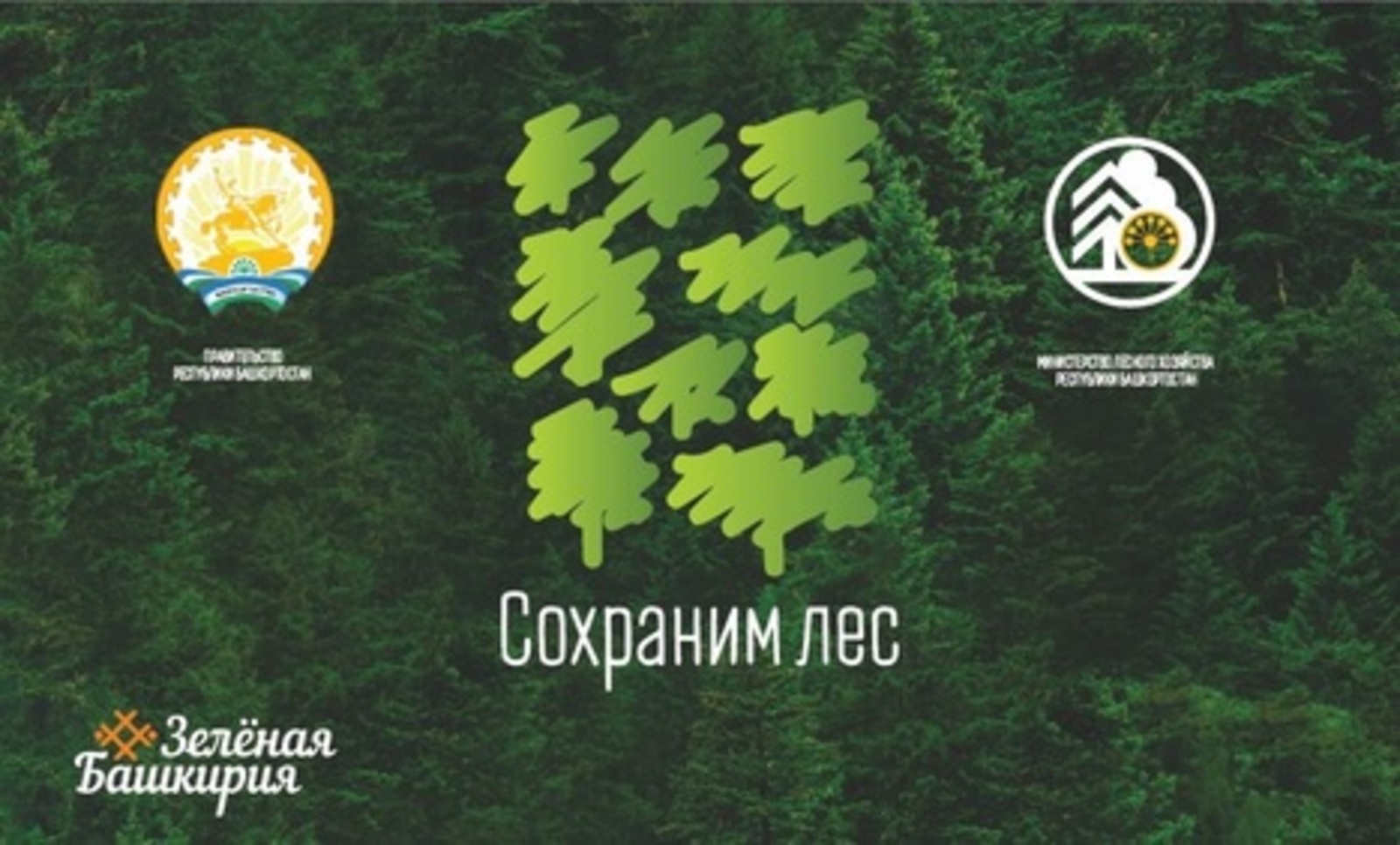 Министр лесного хозяйства Башкортостана Марат Шарафутдинов: в рамках Всероссийской акции «Сохраним лес» башкирские лесоводы высадят 300 тысяч новых деревьев