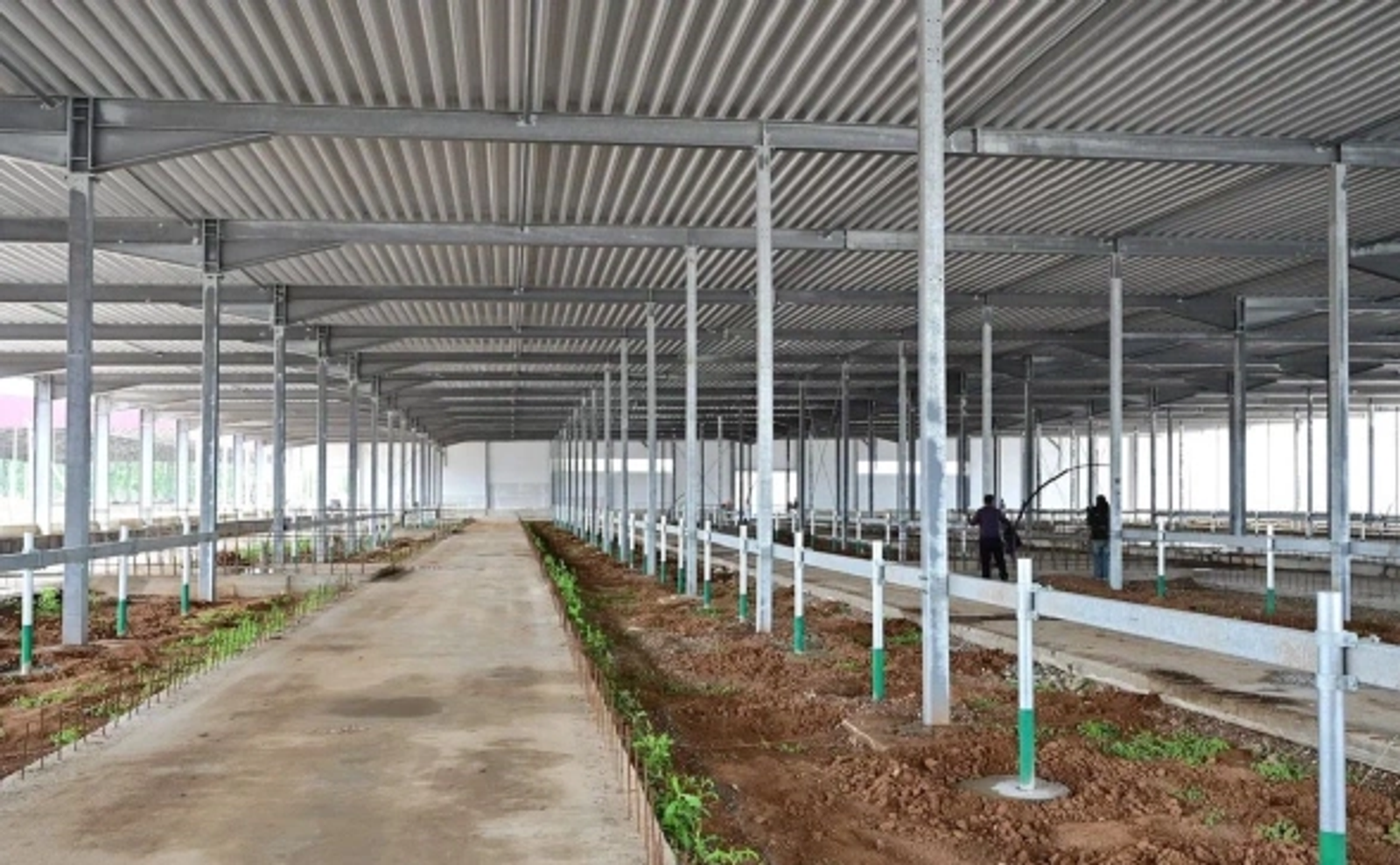 Глава Башкирии рассказал о крупнейшей в стране ферме с искусственным интеллектом