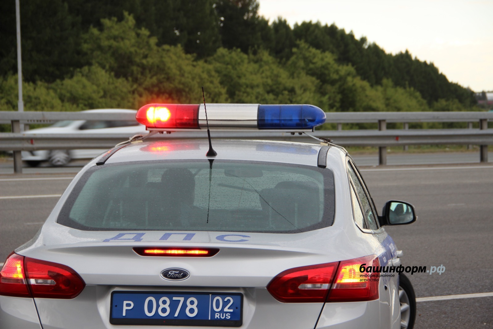 Новая опасность в сети: фейковые письма от ГИБДД