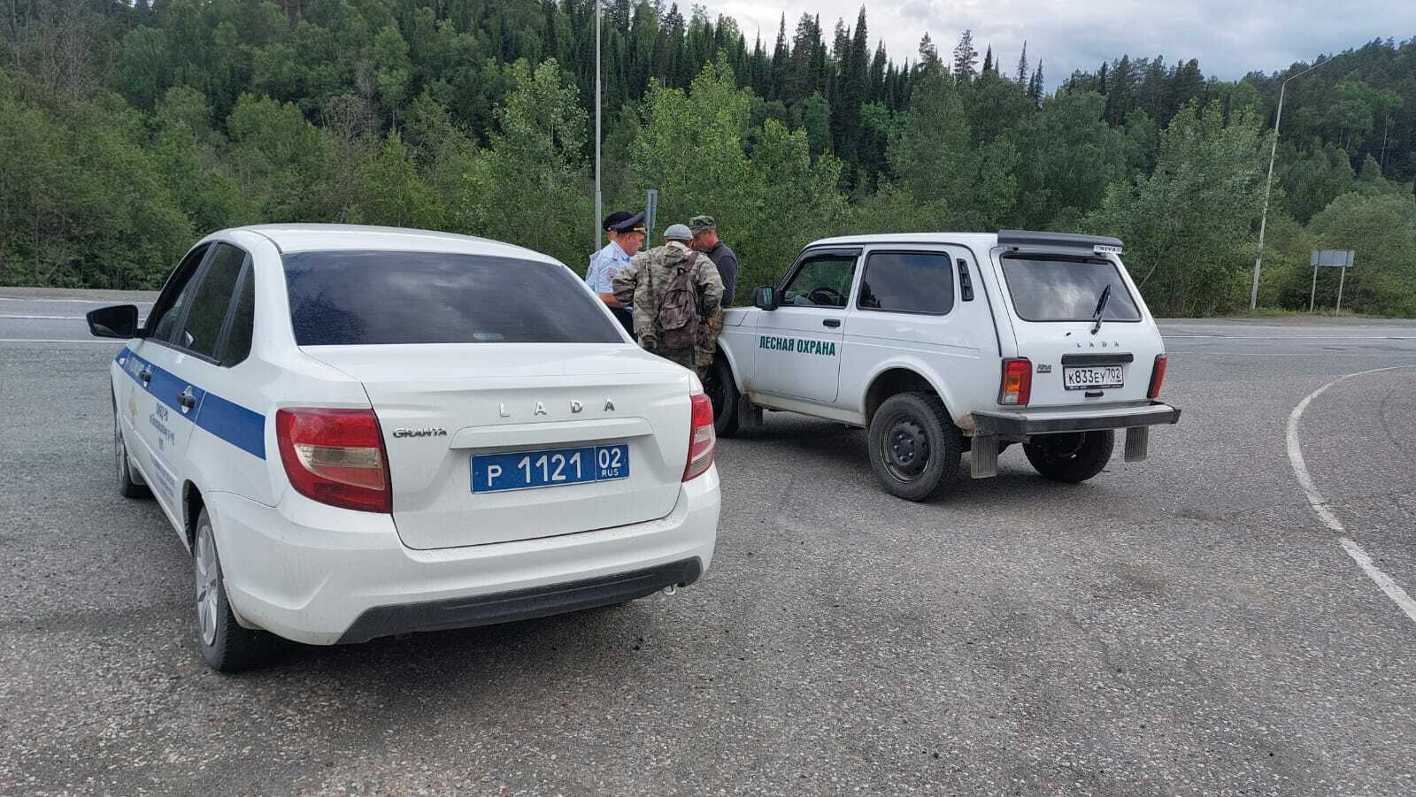 Лесным инспекторам Башкортостана в I полугодии 2023 года удалось снизить объем незаконных рубок