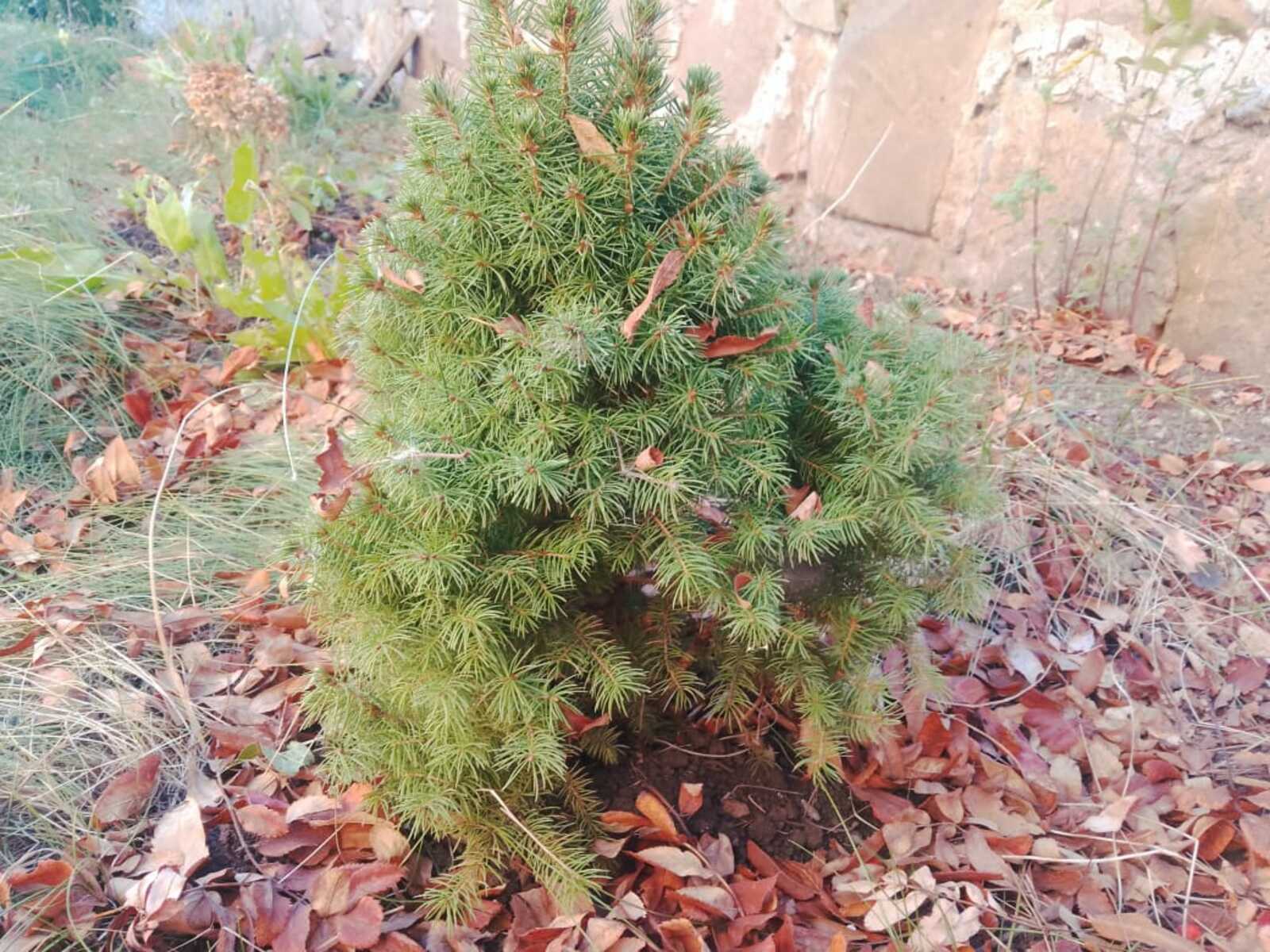 Зима покажет характер: в Башкирию идёт внезапный холодовый удар