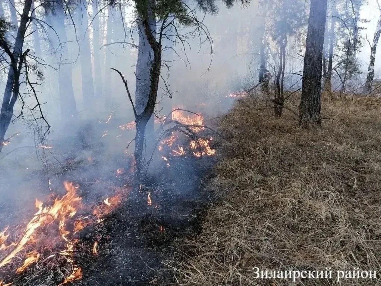 Важно соблюдать правила пожарной безопасности в лесах Башкирии