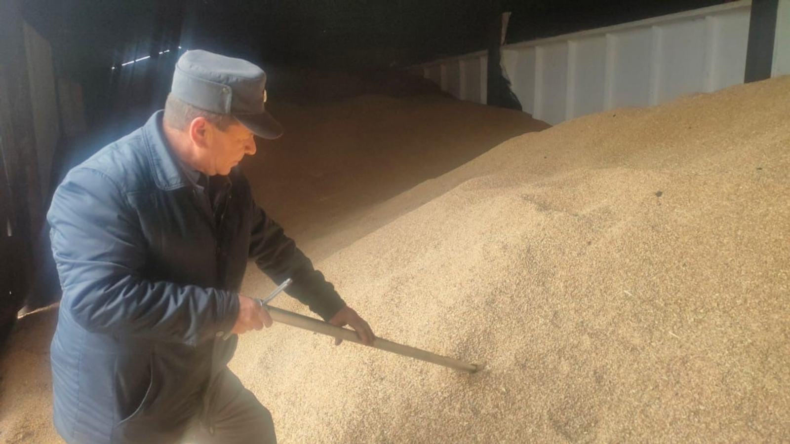 Зерно из Башкирии закупил Краснодар