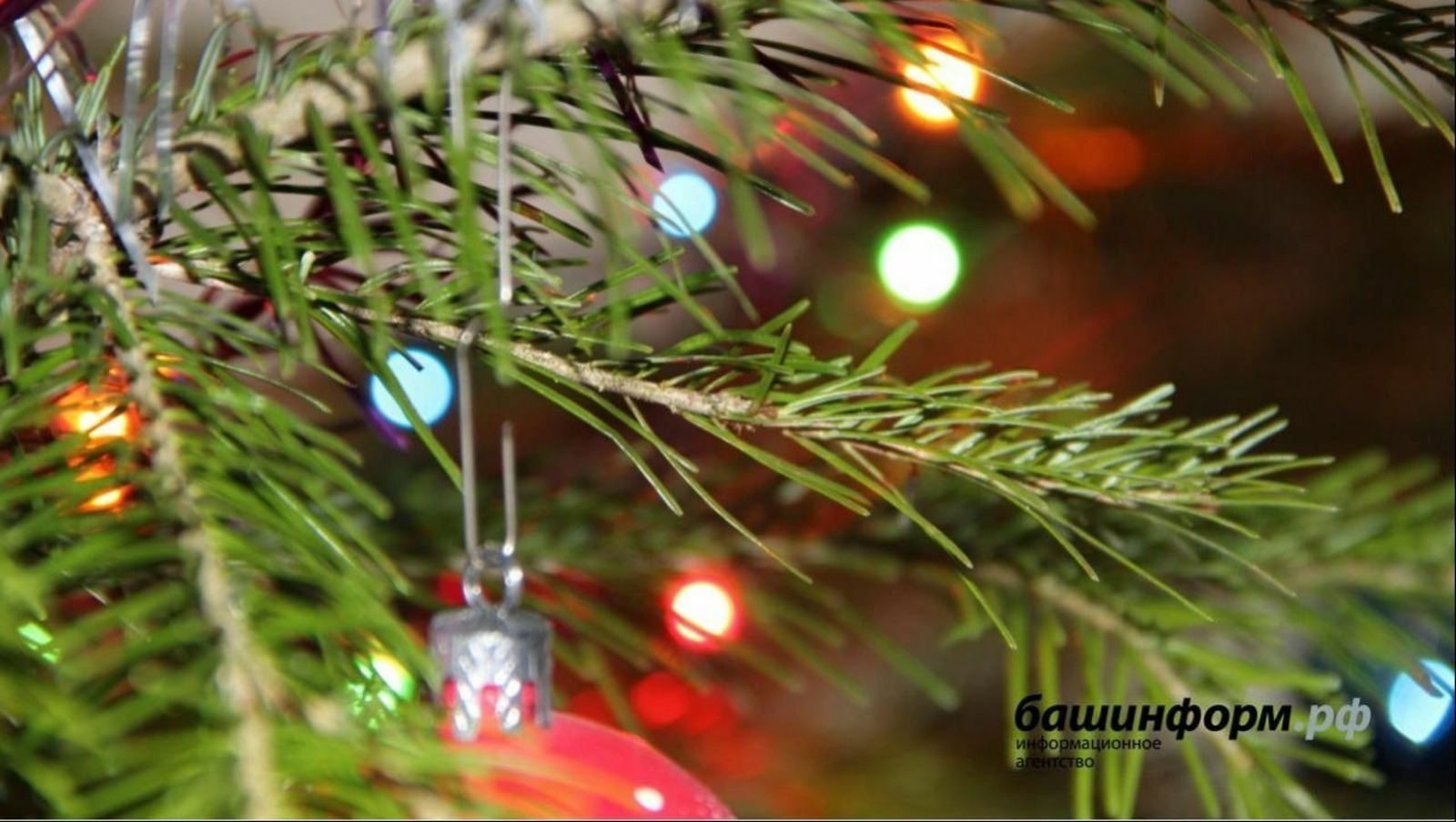 В Башкирии рассказали о режиме работы и отдыха в новогодние дни