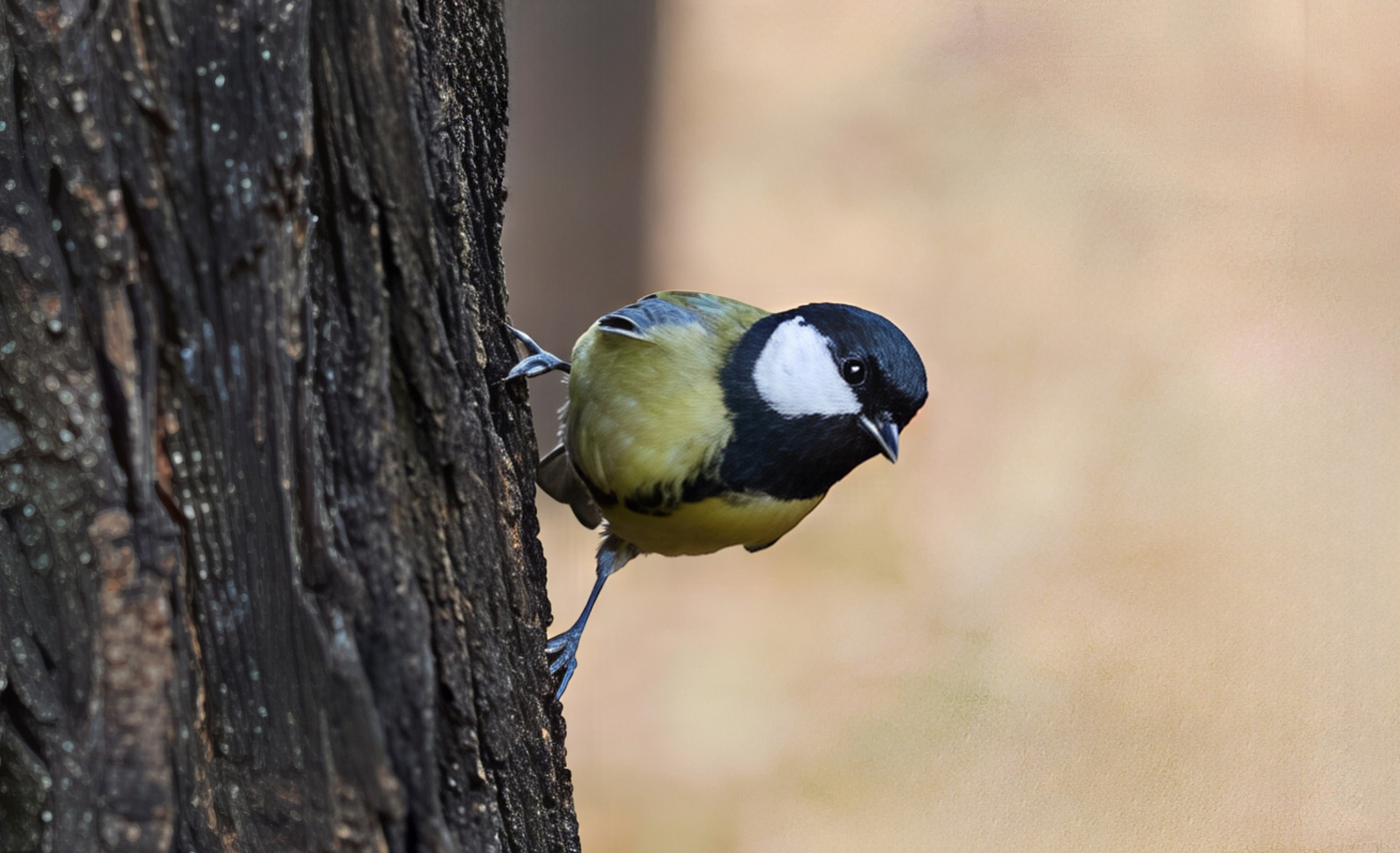 Январская погода готовит новые испытания для Башкирии